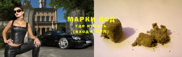 дживик Новозыбков