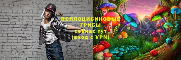 меф Новодвинск