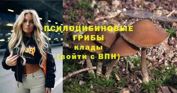 МДМА Нязепетровск