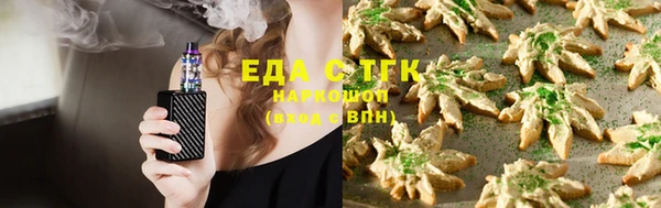 дживик Новозыбков