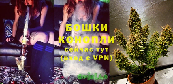 меф Новодвинск