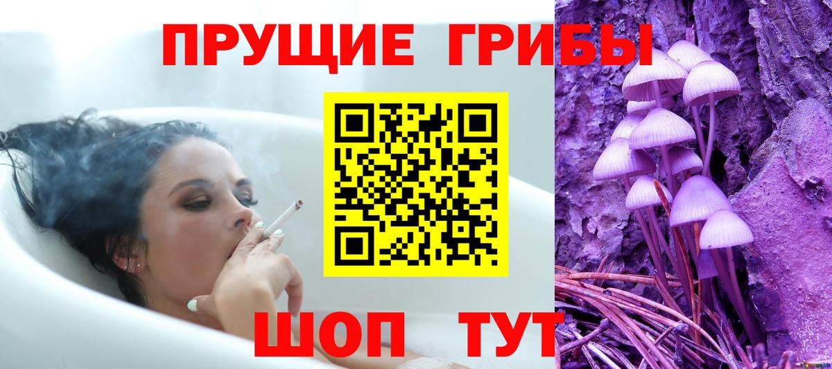 Камышин  Псилоцибиновые грибы ЛСД  Вход с VPN 