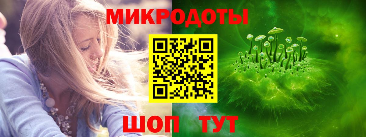 Псилоцибиновые грибы мухоморы Камышин